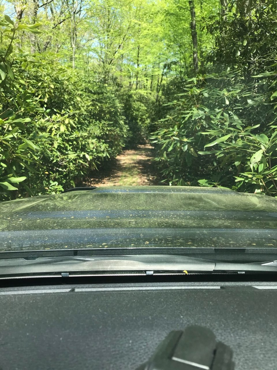 narrow trail.jpg