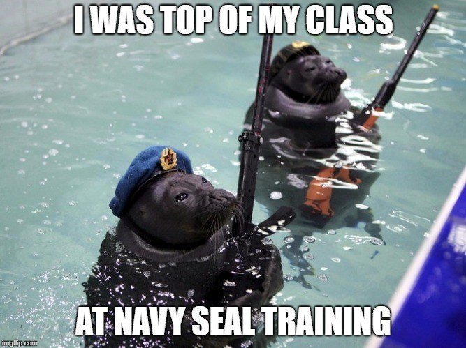 navy-seal-training-meme.jpg