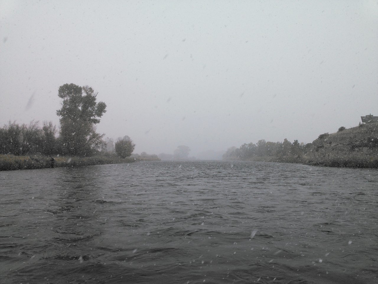 NCM_2722.jpg