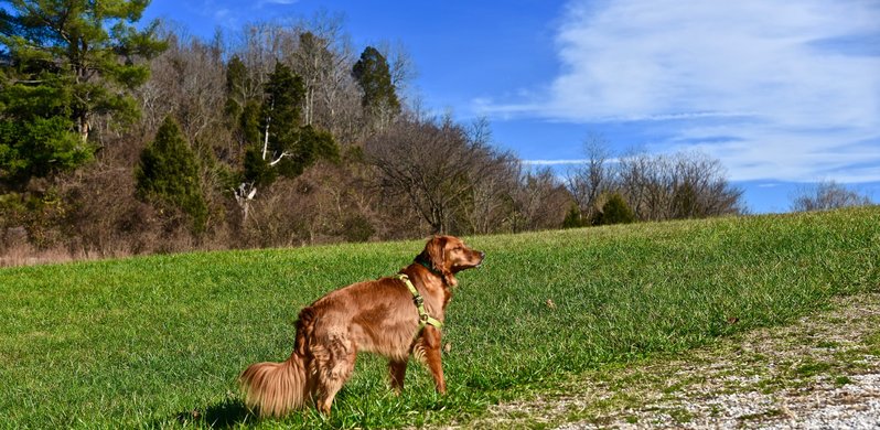 NCW_0787.jpg
