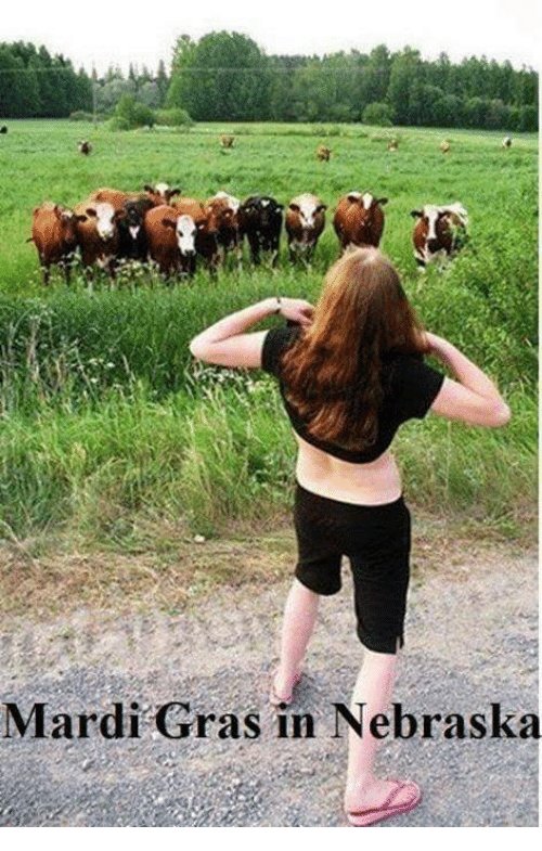 nebraska.jpg