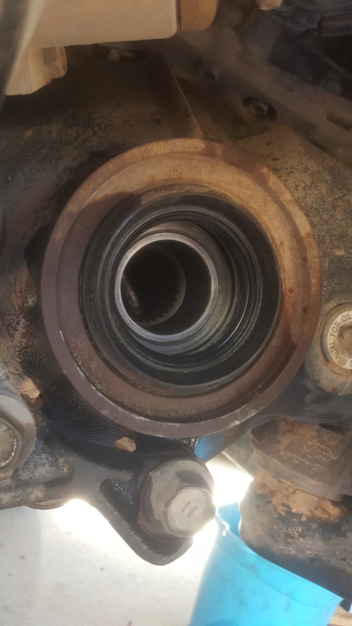 needle bearing .jpg