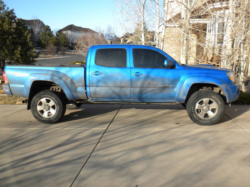Needs a bath1.jpg