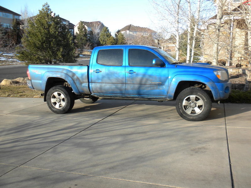 Needs a bath2.jpg