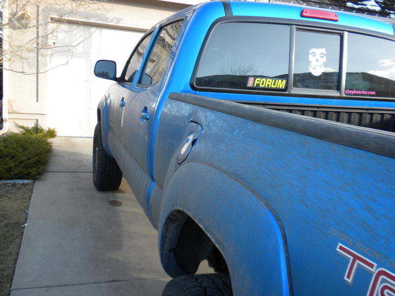 Needs a bath3.jpg