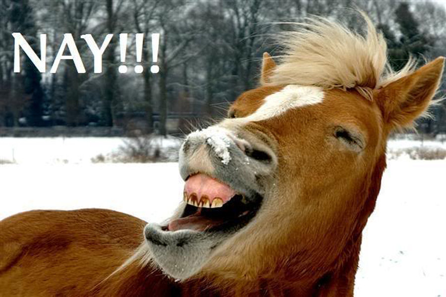 NEIGH.jpg