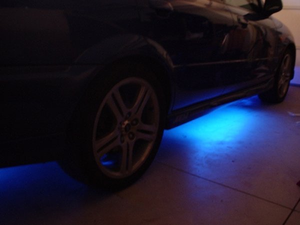 neons.jpg