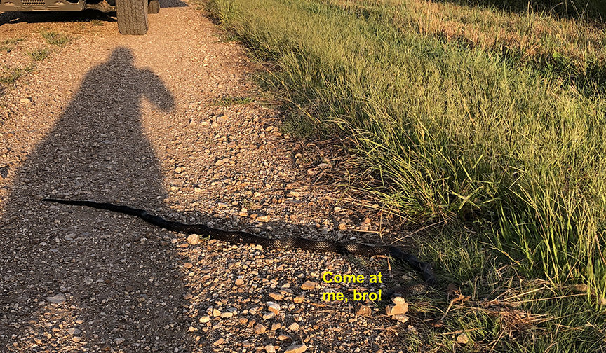 neosho9b.jpg