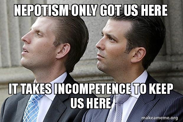 nepotism-only-got.jpg