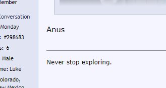 never stop exploring.jpg