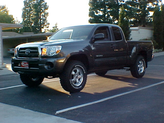 NEW 2010 TACO THEME..jpg