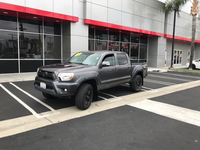 New Baby! April 21 2021.jpg