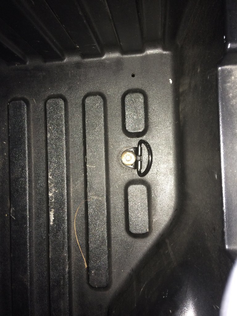 new d ring.jpg