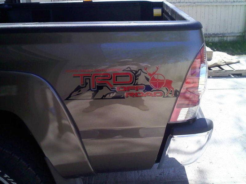 new decals.jpg