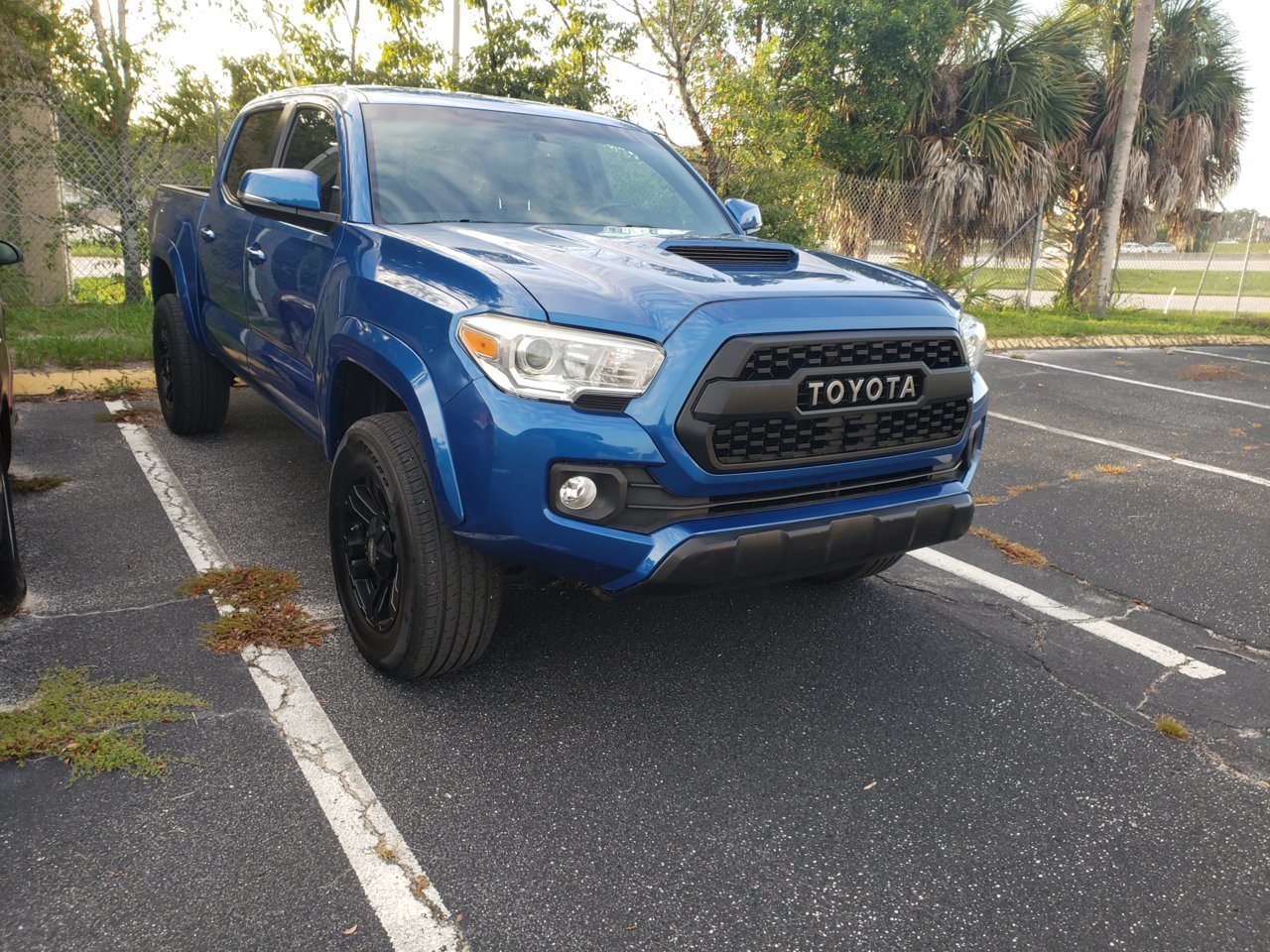 new face grille .jpg