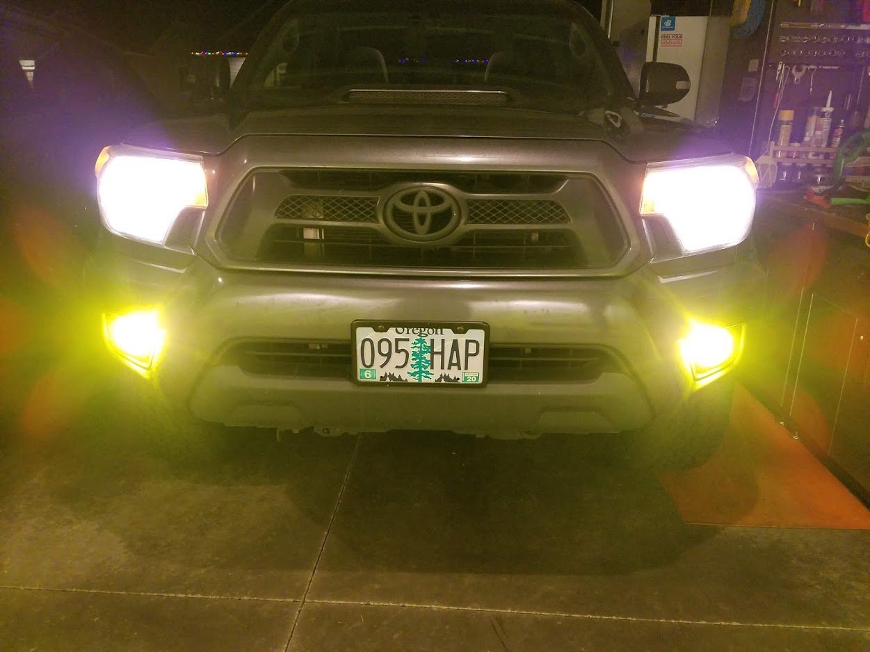 New fogs.jpg