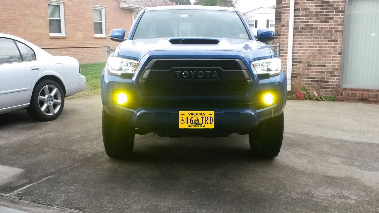 new ft plates.jpg