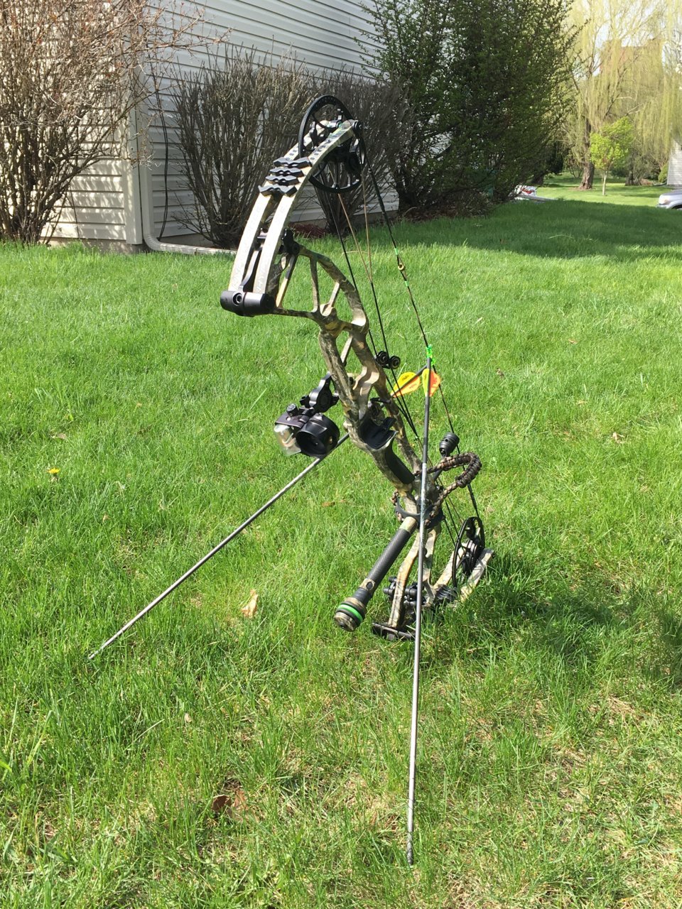 New Hoyt.jpg