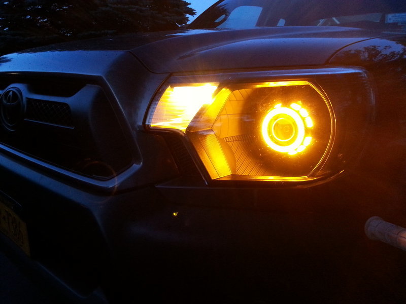 New lights 1.jpg