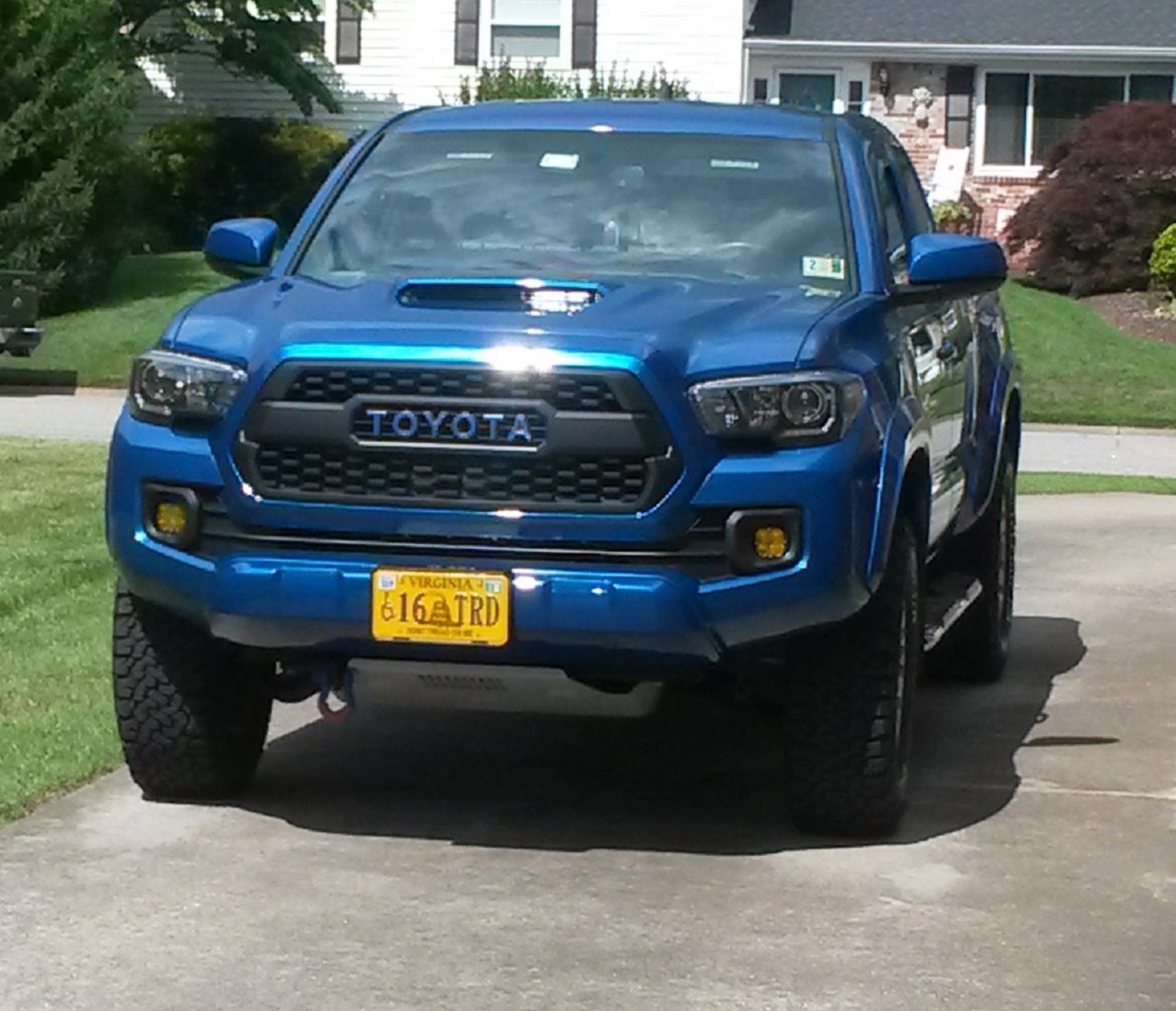 new lights.jpg