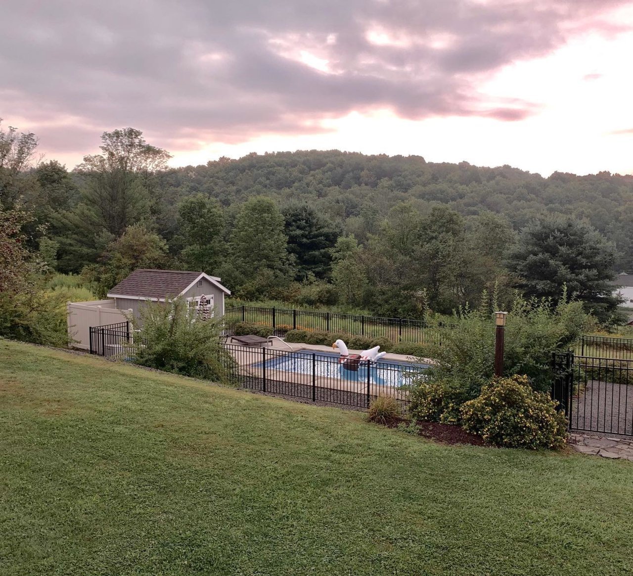 New Pool.jpg