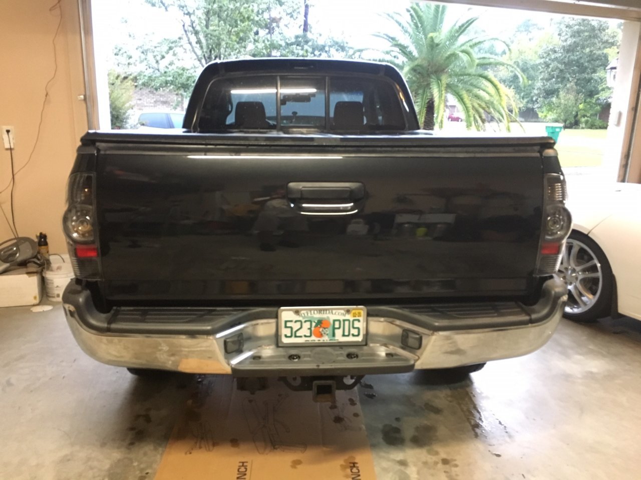 New rear.jpg