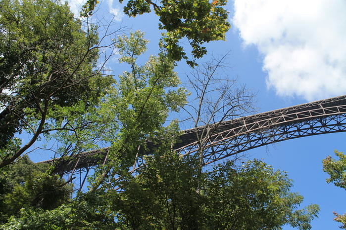 New River 034.jpg