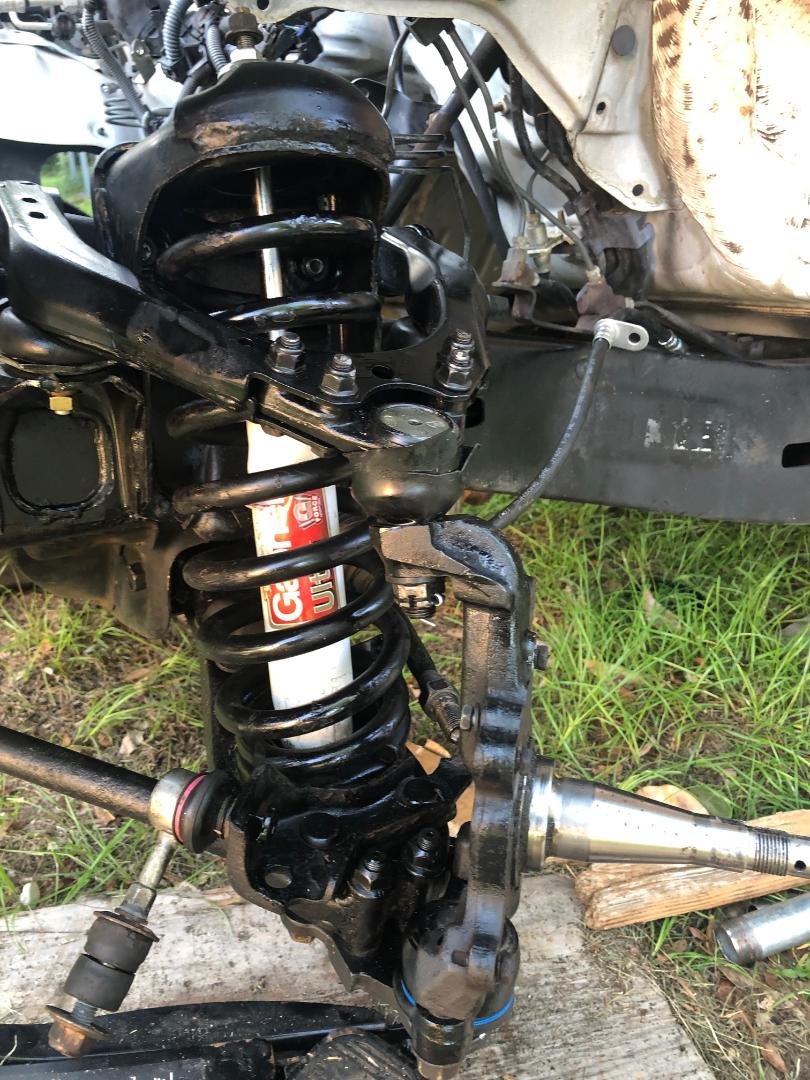 new shock.jpg