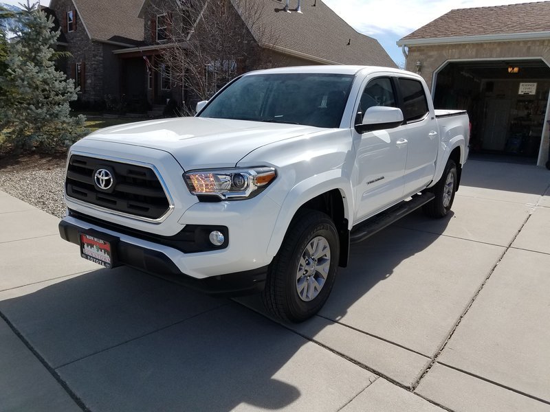New Taco 2.jpg