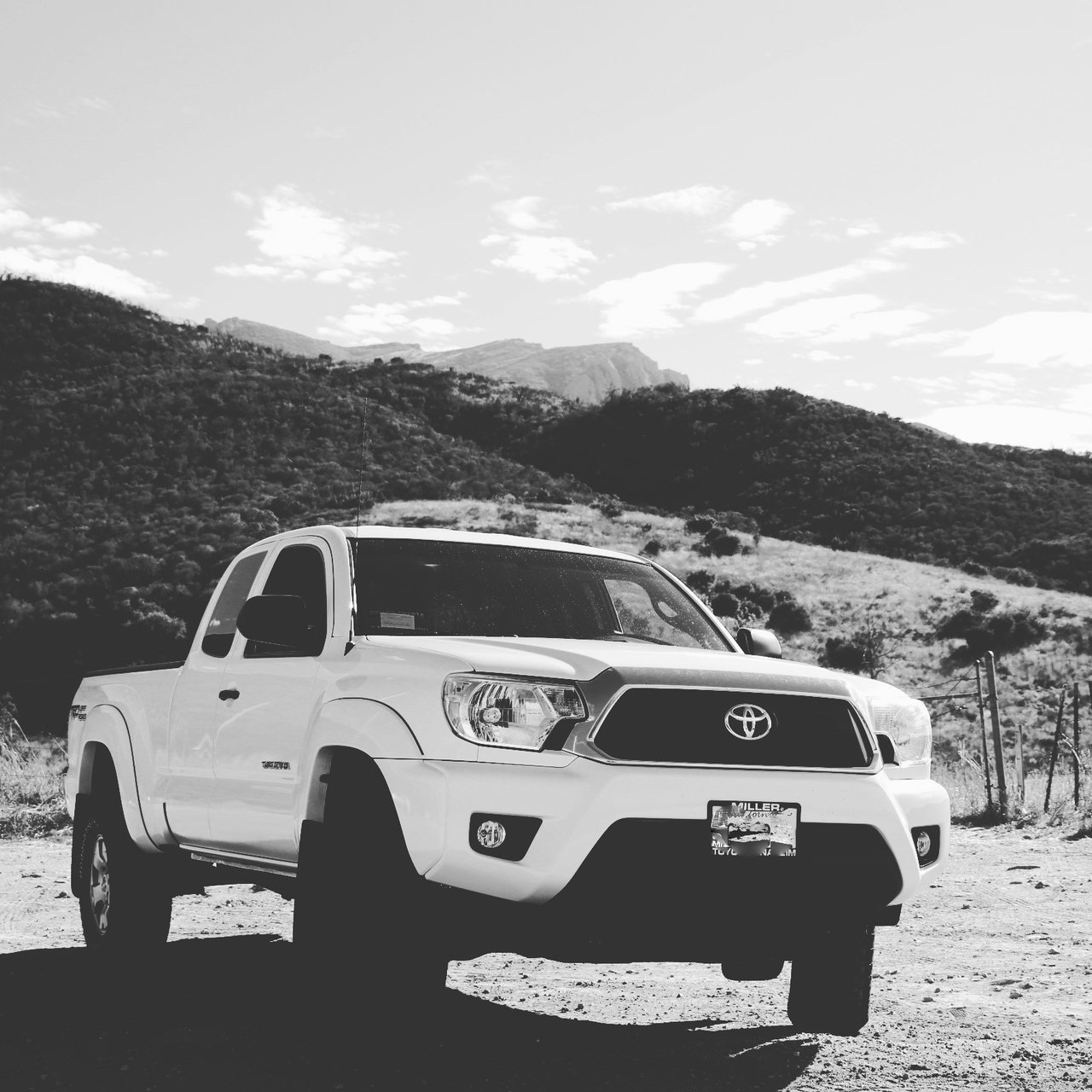 new taco.jpg