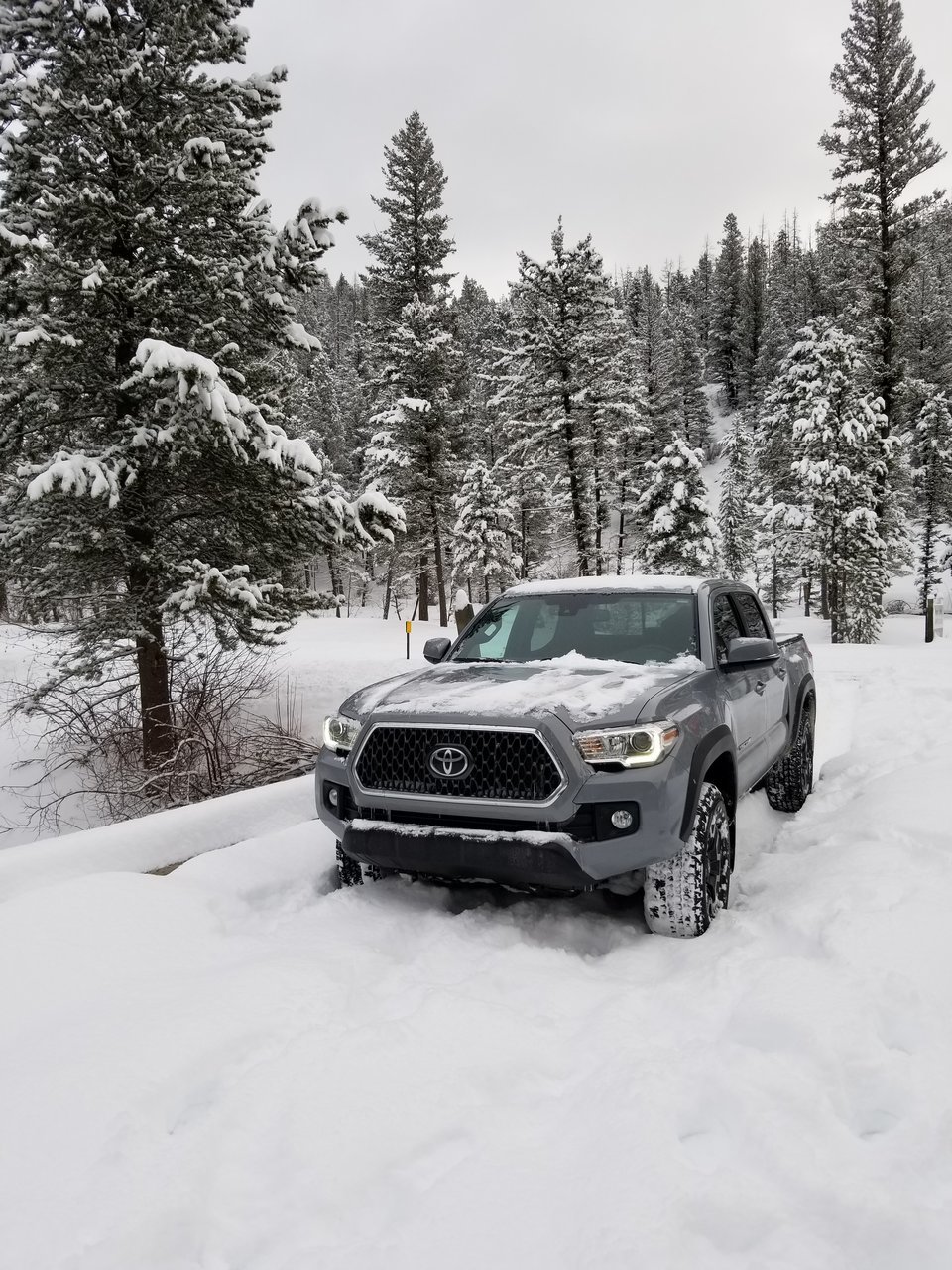 New Taco.jpg