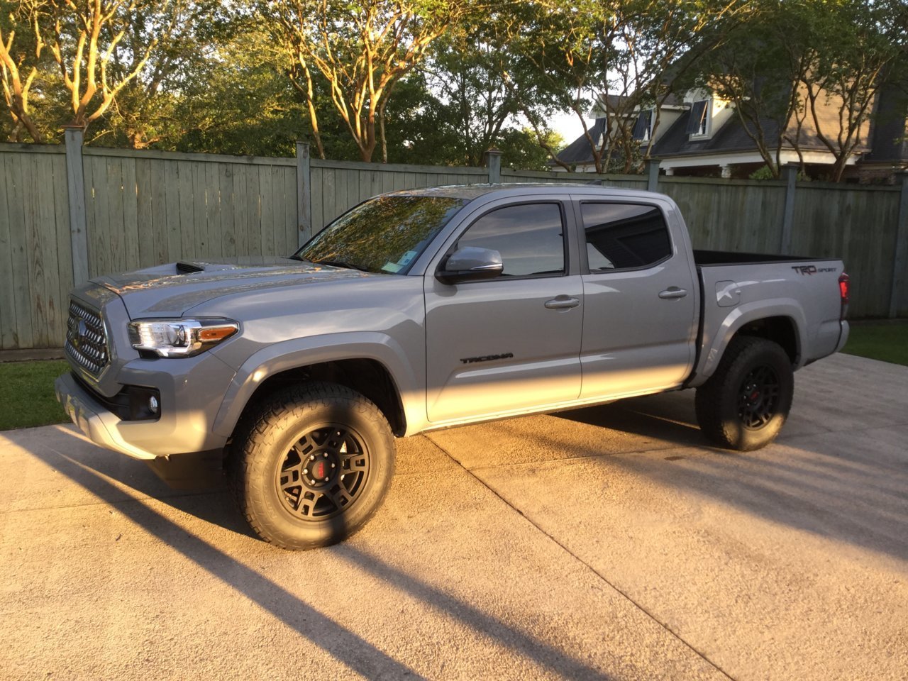 new tint 1.jpg