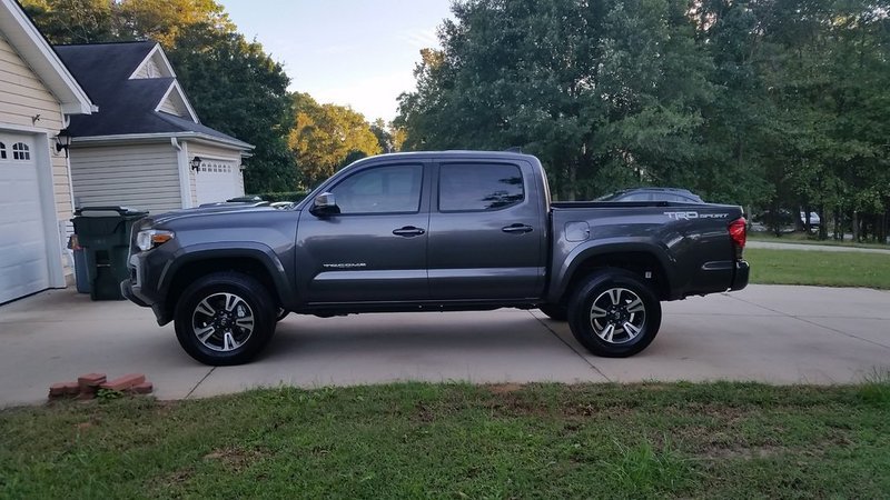 New Toy.jpg