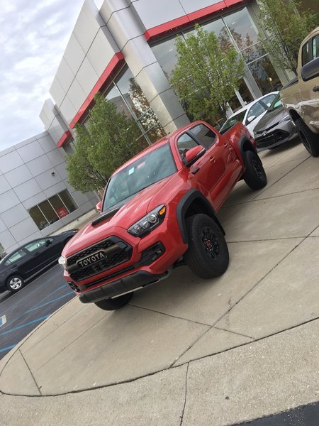 new truck.jpg