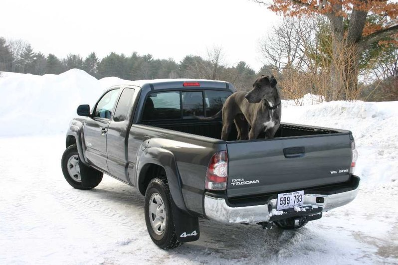 new truck.jpg
