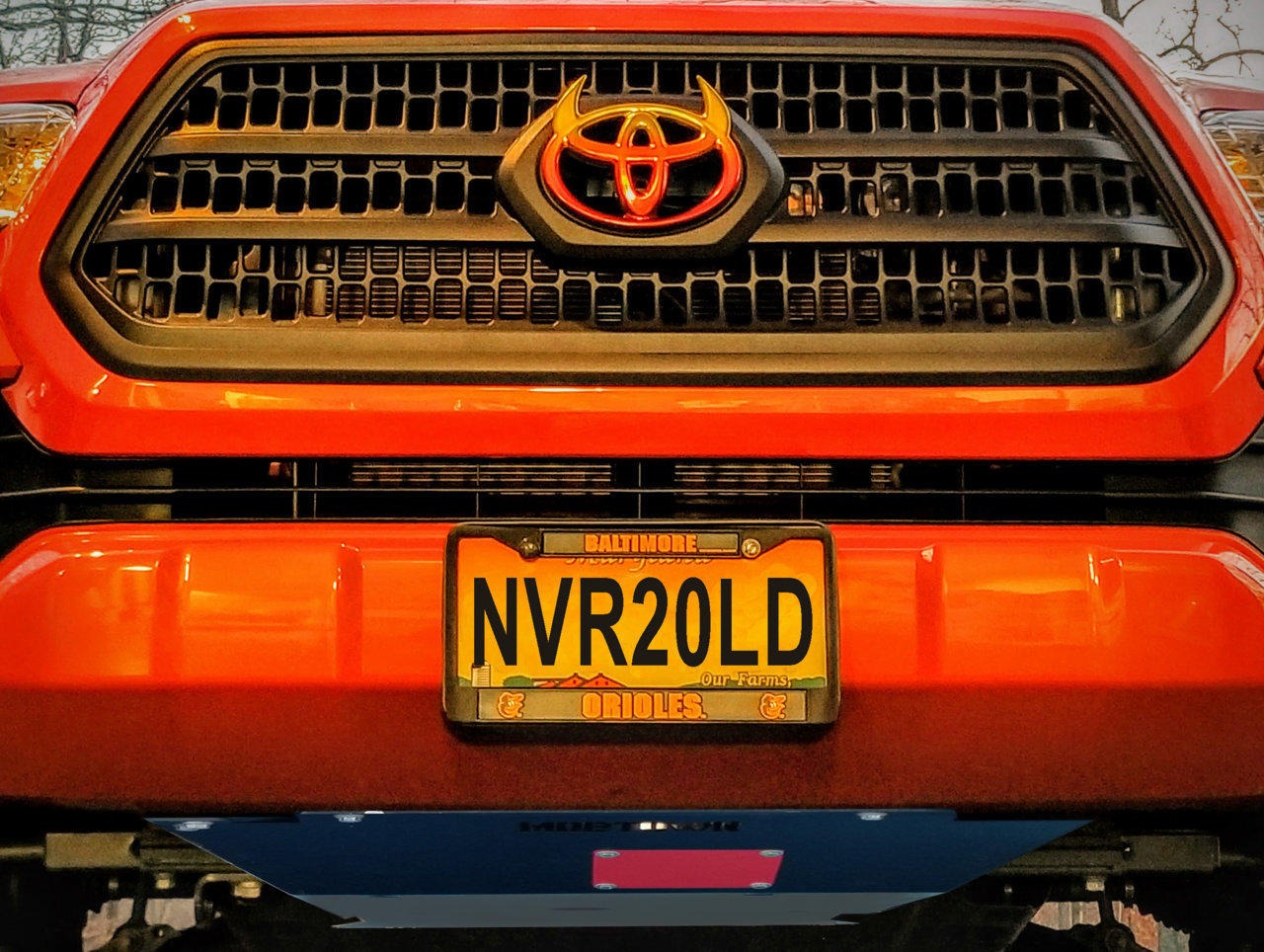 NEW_FRONT2.jpg