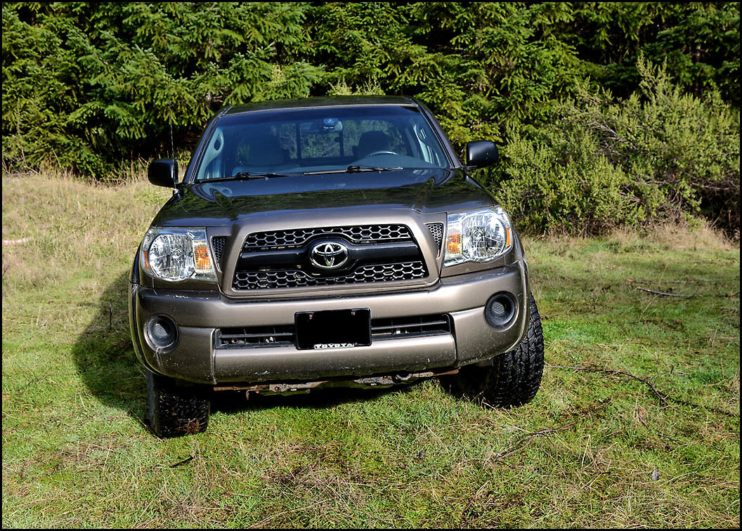 new_grill_surround_02_4613.jpg