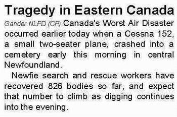 newfie-story.jpg