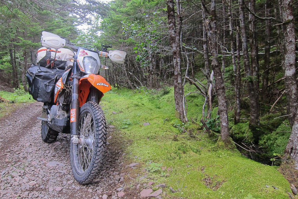 Newfoundland%20245_zpstyx9i69c_a7288708144b63e7d4bf5a1d22c99143d81a8839.jpg