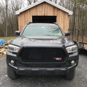 newnose.jpg