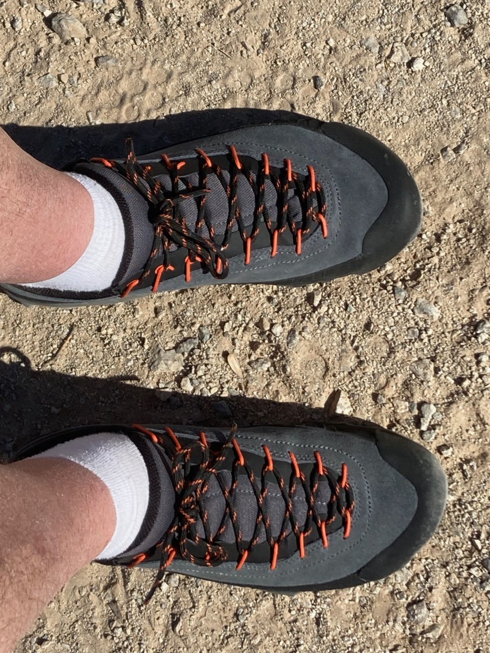 NewShoes.jpg