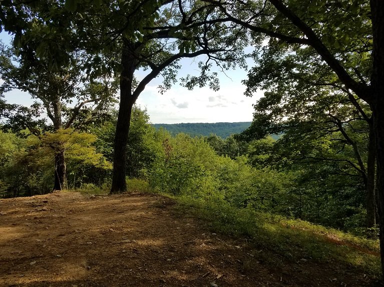 Niceview.jpg