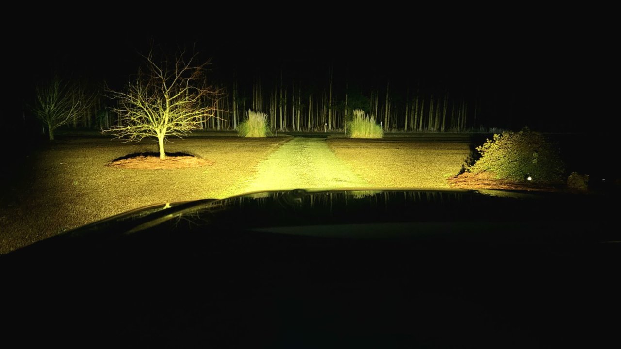 Night Fog Only.jpg