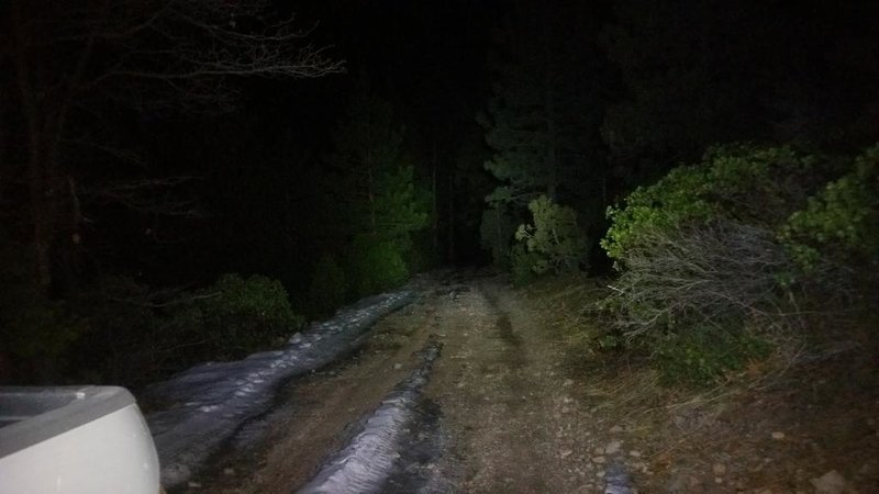 night road.jpg