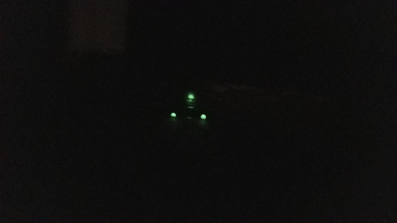 nightsights.jpg