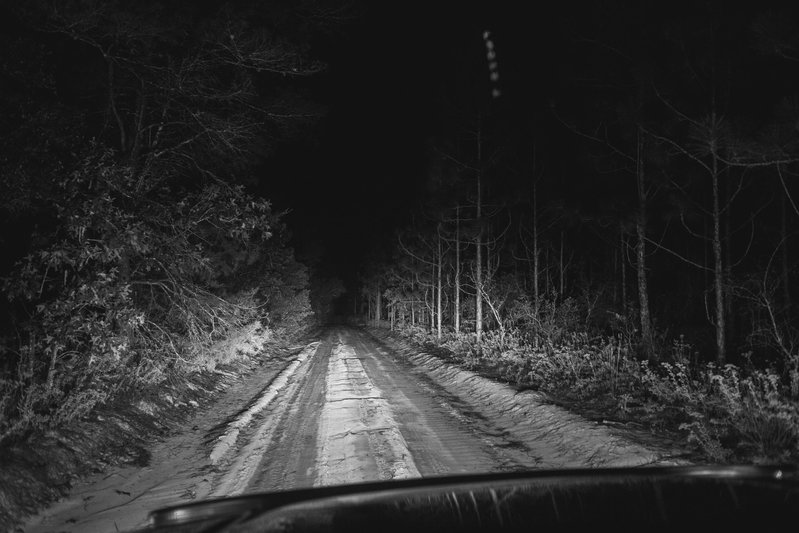 nightTRAILS.jpg