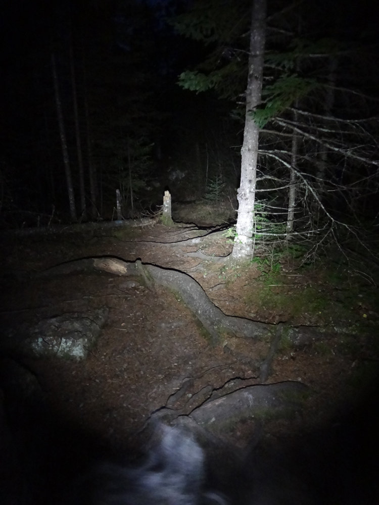 Nightwalk_zpsugqpqiw1_61050e3b48499851da8fe393cfd06865ec065038.jpg