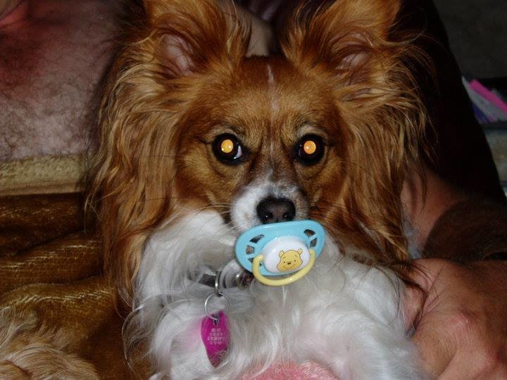 nikkipacifier.jpg