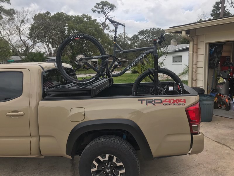 Thule insta online gator