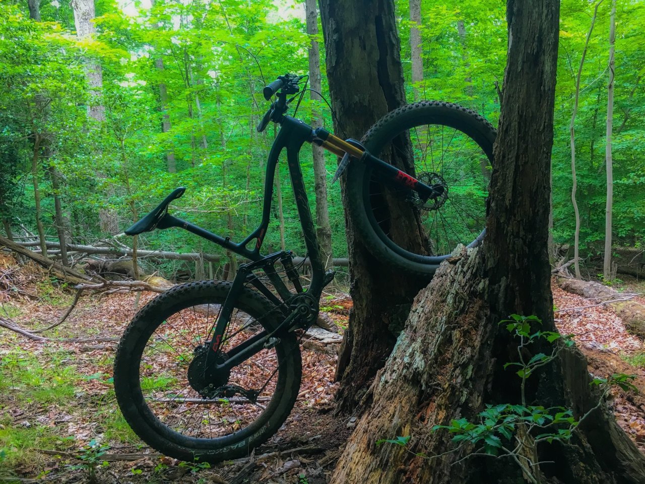 Niner1.jpg